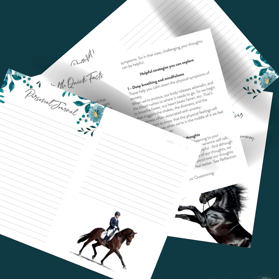 Horse Lover's Journal #2: A deluxe illustrated mental health journal